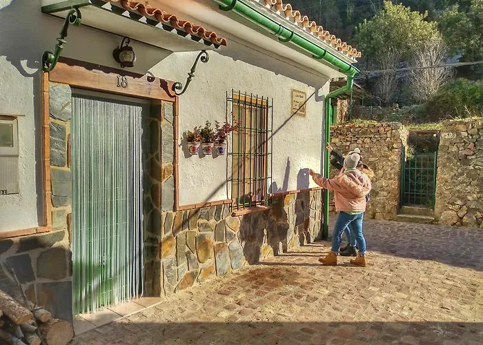 Els Orgues De Benitandus