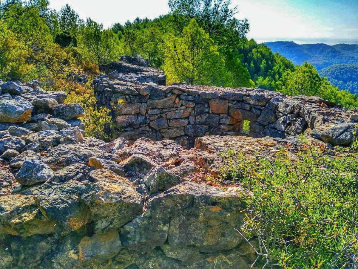 Els Orgues De Benitandus *