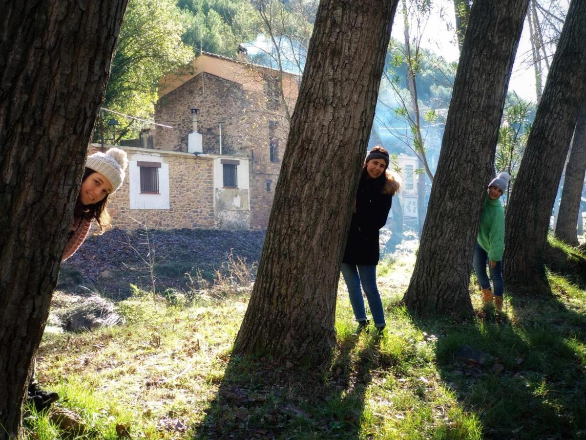 Els Orgues De Benitandus