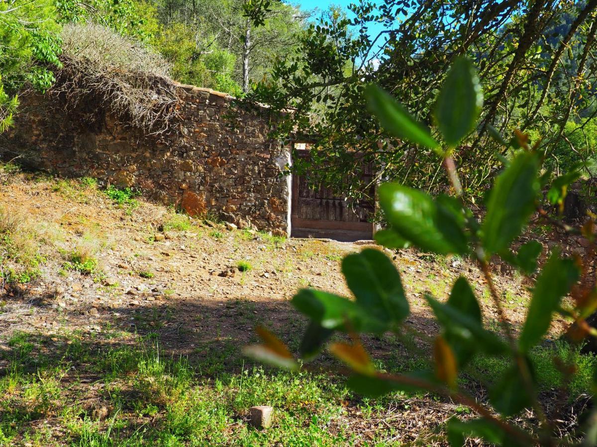 Els Orgues De Benitandus Holiday home