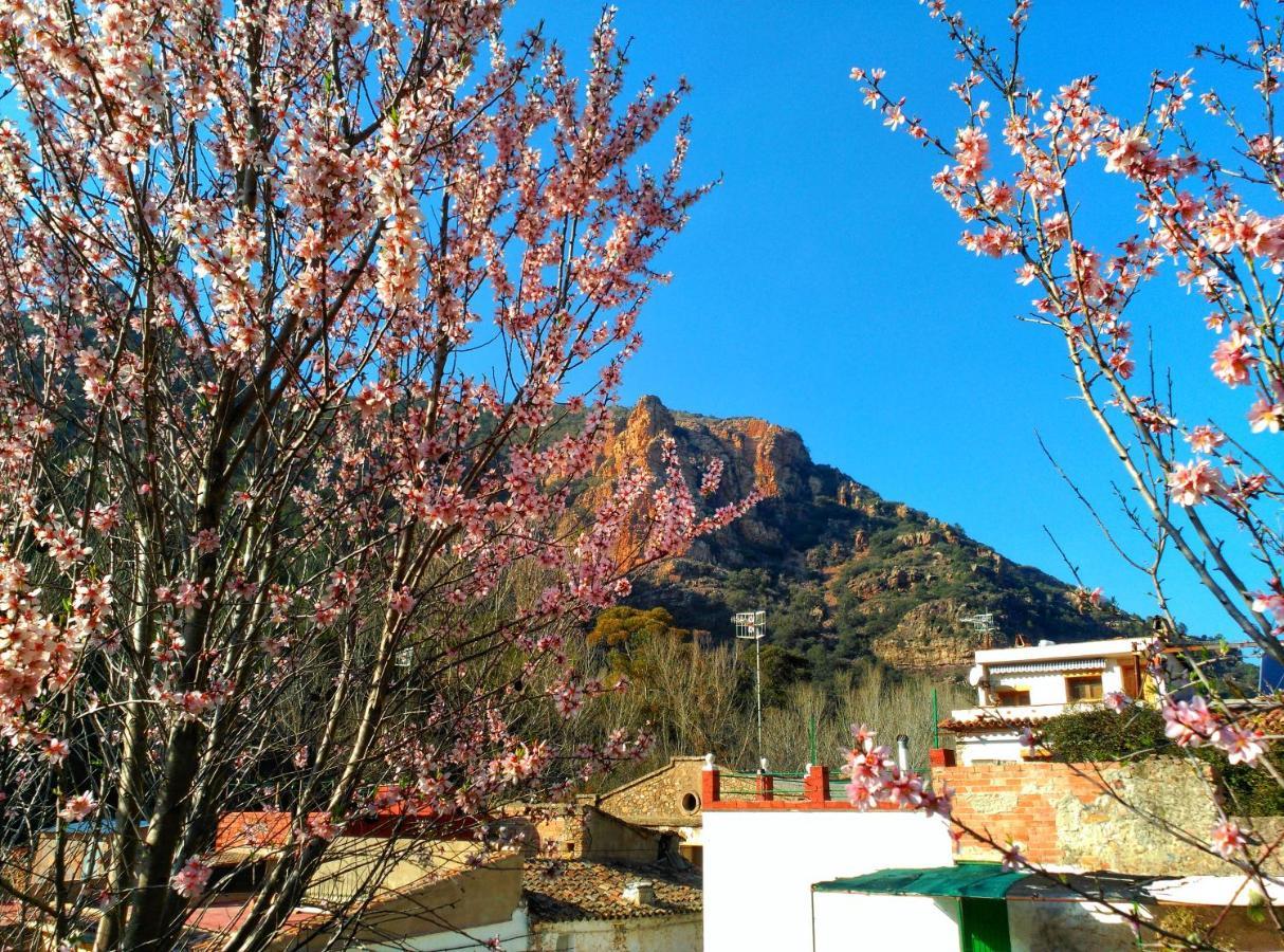 Els Orgues De Benitandus * Alcudia de Veo